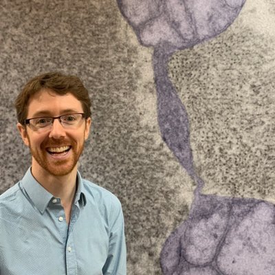 Profile Picture of Martin Picard (@MitoPsychoBio) on Twitter