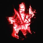 Profile Picture of Nathan Harder (@nathardero) on Instagram