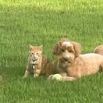 Profile Picture of Jeff Costner (@jeff_costner) on Instagram