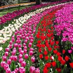 Profile Picture of Kistner Julia (@Kistner-Julia) on Facebook