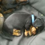 Profile Picture of Georg Wittmann (@wittmann.georg07) on Instagram