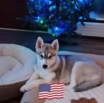 Profile Picture of Aaron Groh (@aaron.groh.233728) on Facebook