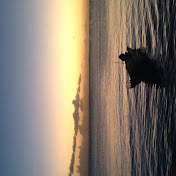 Profile Picture of Julian Fuentes (@Sceptillion) on Youtube