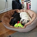 Profile Picture of Flora Faulkner (@faulknerflora) on Instagram