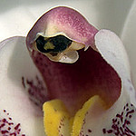 Profile Picture of Gerald Mitchell (@gdm4744) on Flickr