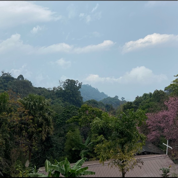 Profile Picture of Amanda Capone (@amandasirikit) on Poshmark