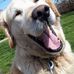 Profile Picture of James Sweeting (@james.sweeting.798) on Facebook