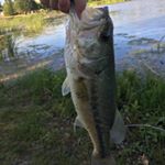 Profile Picture of Aiden_moore_17 (@aiden_moore_17) on Instagram