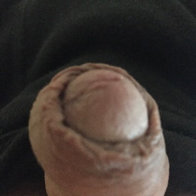 Profile Picture of Tommy Liang (@TLE200113) on Twitter