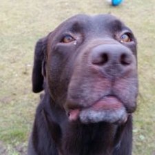 Profile Picture of Andy Earnshaw* (@EarnshawAndy) on Twitter