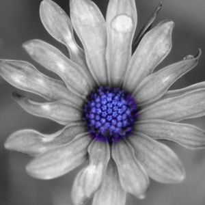 Pamela Self - Myspace Profile Picture of Pamela Self (@140804483) on Myspace