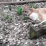 Profile Picture of Harold Averette (@harold.averette.9) on Facebook