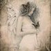 Profile Picture of Lisa Maggart (@poisonedkiss) on Pinterest