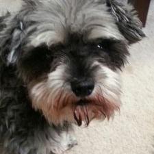 Profile Picture of Gary Dashner (@gldashner1) on Twitter