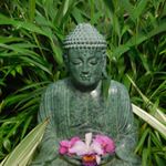 Marty Bryant - Instagram Profile Picture of Marty Bryant (@mysticalmarty) on Instagram