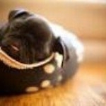 Profile Picture of robertohrnand (@robertohrnandezperez) on Instagram