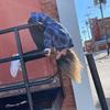 Profile Picture of erinpfaff856 (@@erinpfaff856) on Tiktok