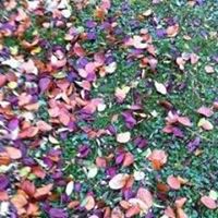 Profile Picture of Nora Mckenna (@nora-mckenna-8) on Quora