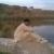 Profile Picture of Waseem Khalid (@181962150) on Myspace