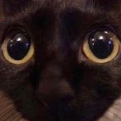 Profile Picture of Angela Baclija (@angelabaclija2487) on Youtube