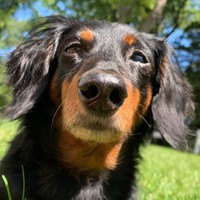 Sirena Doundoulakis - Quora Profile Picture of Sirena Doundoulakis (@sirena-doundoulakis) on Quora