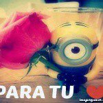 Profile Picture of alex pabon (@pabon.alex) on Instagram