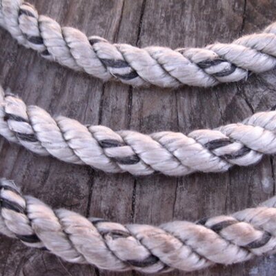 Profile Picture of Janet Coburn (@janetalyssa) on Twitter