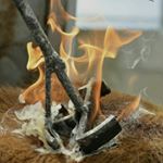 Profile Picture of Hector López Blasco (@ganaderiahectorlopez) on Instagram