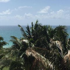 Michael Hobert - Tiktok Profile Picture of Michael Hobert (@michaelhobert2) on Tiktok