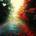 Profile Picture of Joshua Drain (@jdrain06) on Pinterest