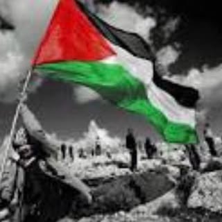 Profile Picture of Manal Barakat (@barakat.manal) on Instagram