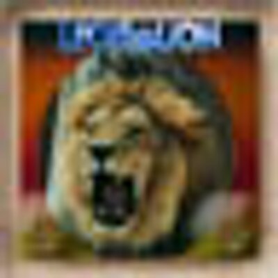 Profile Picture of Andy Padgett (@LEOtheLION1962) on Twitter