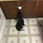 Profile Picture of Bryce Mogler (@bryce_mogler) on Instagram