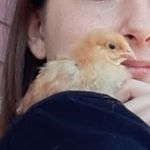 Profile Picture of Julianne Phillips (@julianne.phillips.965) on Instagram
