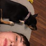 Profile Picture of Cody Bartels (@bartelscody) on Instagram