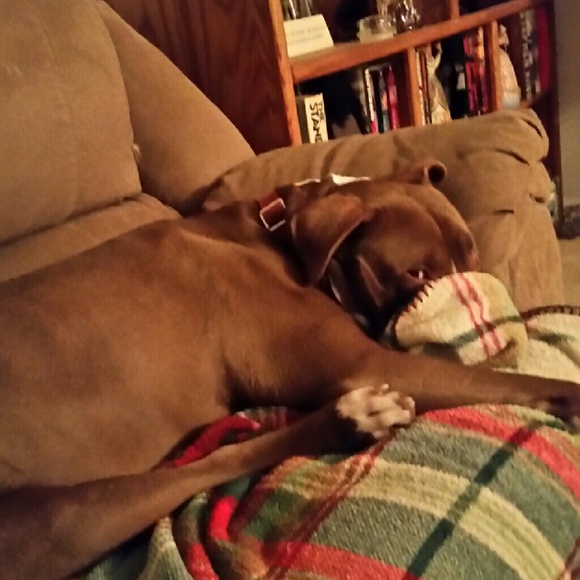 Profile Picture of Wanda Curtis (@wljkatz) on Poshmark