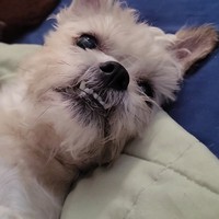 Profile Picture of Sam Vasquez (@sam-vasquez-43) on Quora