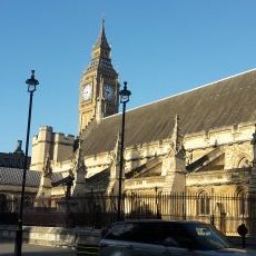 Profile Picture of Raj (@Rajbirk25231940) on Twitter