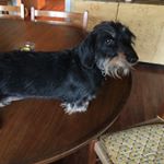 Profile Picture of Renate Long (@longrenate) on Instagram