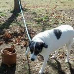 Profile Picture of jess (@jessegaylord89) on Instagram