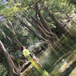 Profile Picture of Myrna Rivas (@dramyrnarivas) on Instagram