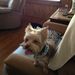 Profile Picture of Doris Trumbo (@197doris) on Pinterest