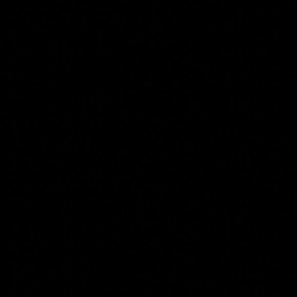 Profile Picture of Daniela Arceo (@daniarceo) on Poshmark