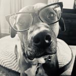 Aaron Kinyon - Instagram Profile Picture of Aaron Kinyon (@aaronicopinion) on Instagram