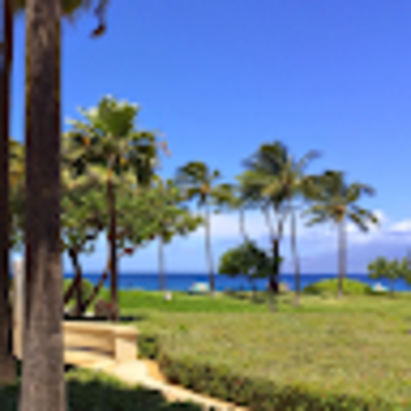 Kris Caiozzo - Poshmark Profile Picture of Kris Caiozzo (@kecaiozzo) on Poshmark