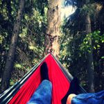 Profile Picture of Jefferson Stehle (@jeff.stehle) on Instagram