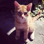 Profile Picture of Marcel Jacques (@marcel_jacques) on Instagram