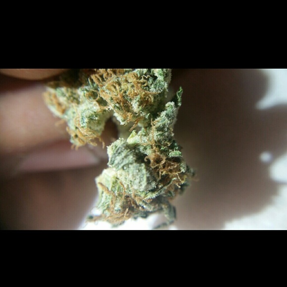 Profile Picture of Julian Jones (@stonerdayz) on Poshmark