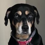 Profile Picture of Julia Danford (@julia_e_danford) on Instagram