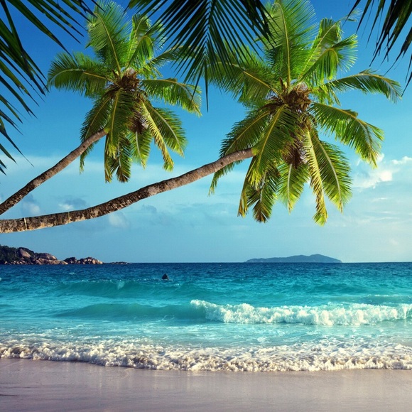 Profile Picture of Maxine Goodman (@max5620) on Poshmark